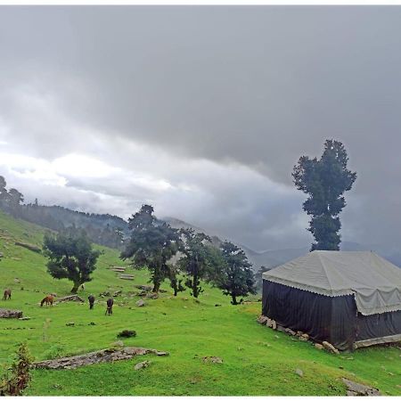 Chopta Wildlife Camps Resorts, Chopta Kültér fotó