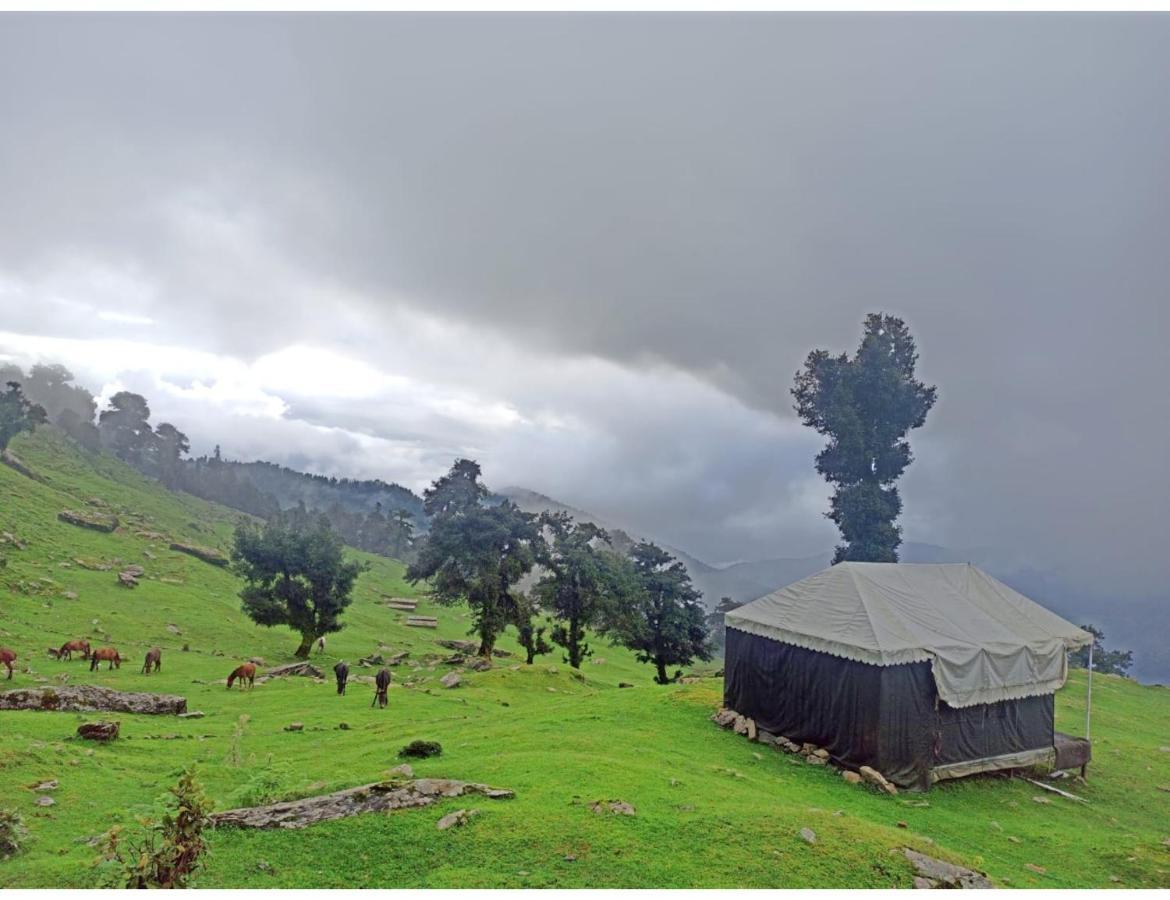 Chopta Wildlife Camps Resorts, Chopta Kültér fotó