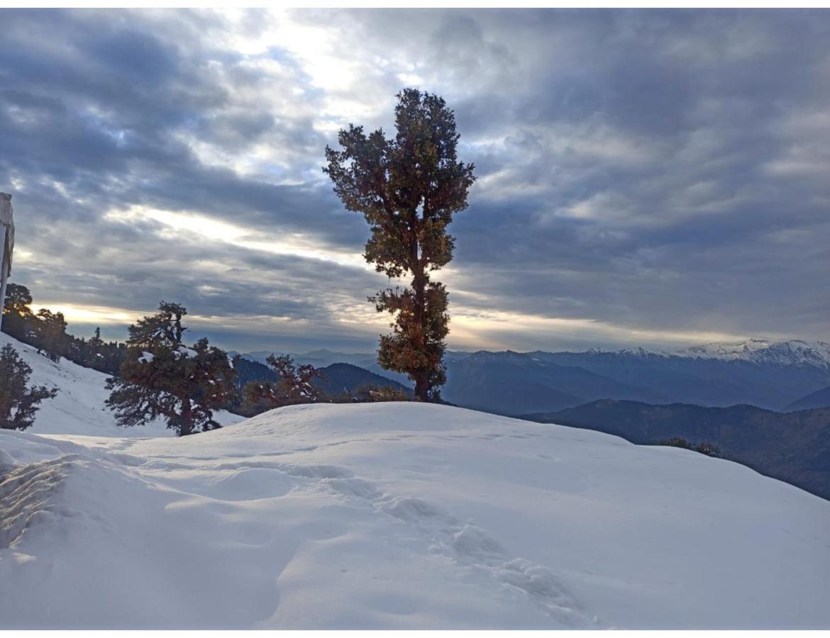 Chopta Wildlife Camps Resorts, Chopta Kültér fotó